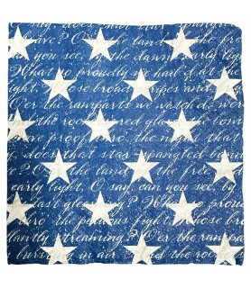 4th of July 'O Say Can You See' Small Napkins (16ct)