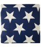 4th of July 'Patriotic Spirit' Small Napkins (24ct)