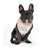 Pawsome Party Dog Bandana (1ct)