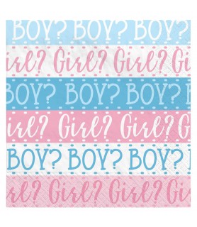 Baby Shower Gender Reveal 'Pink Or Blue' Lunch Napkins (16ct)