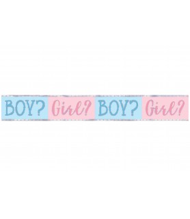 Baby Shower Gender Reveal 'Pink Or Blue' Foil Banner (1ct)