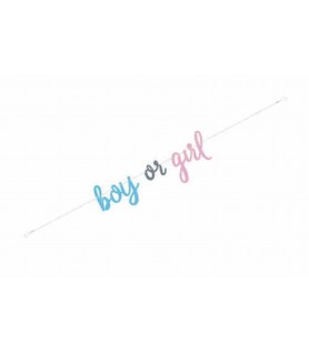 Baby Shower Gender Reveal 'Boy Or Girl' Banner (1ct)