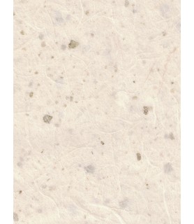  Tissue Paper 'Ivory Confetti' (2 sheets)