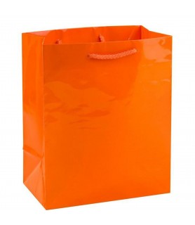Glossy Orange Medium Paper Gift Bag (1ct)