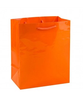 Glossy Orange Large Paper Gift Bag (1ct)