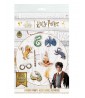 Harry Potter 'Wizarding World' Party Photo Props (8 ct)