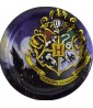 Harry Potter 'Wizarding World' Blue Small Paper Plates (8ct)