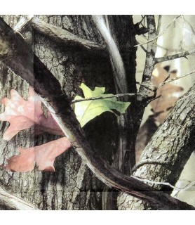 Hunting and Fishing 'Next Camo' Lunch Napkins (16ct)