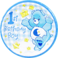 Care Bears Boy's 1st Birthday