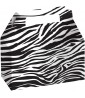 Zebra Stripes Treat Boxes (2ct)
