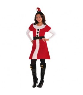 Christmas Santa Deluxe Adult Sweater Dress (Small/Medium)