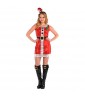 Christmas Santa Deluxe Adult Sequin Dress (Small/Medium)