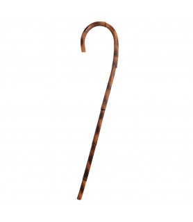 100th Day of School Old Man Novelty Wood Cane (1ct)