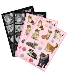 Kittens Stickers (4 sheets)