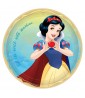 Disney Princess 'Once Upon a Time' Snow White Large Paper Plates (8ct)