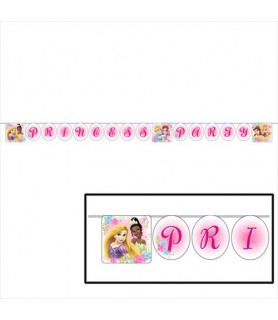 Disney Princess Party Celebration Banner (1ct)