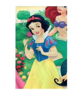 Disney Princess 'Fairy-Tale Friends' Plastic Table Cover (1ct)*
