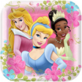 Mixed Disney Princess