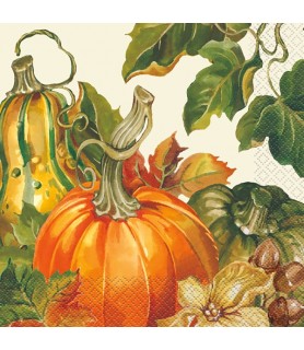 Fall Autumn 'Harvest Pumpkins' Lunch Napkins (20ct)