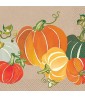 Fall Autumn 'Colorful Pumpkins' Small Napkins (16ct)