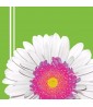Floral 'Daisy Power' Lunch Napkins (18ct)