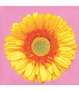Floral 'Petal Pop' Small Napkins (16ct)