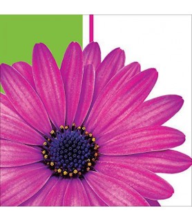 Floral 'Daisy Power' Small Napkins (18ct)
