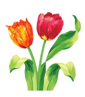 Floral Print 'Bright Tulips' Small Napkins (16ct)