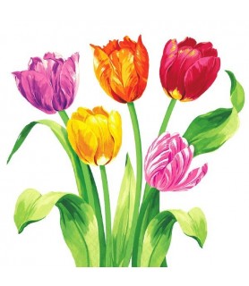 Floral Print 'Bright Tulips' Dinner Napkins 3 ply (16ct)
