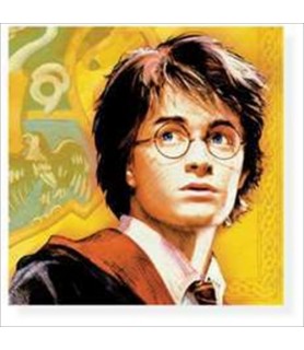Harry Potter 'Goblet of Fire' Lunch Napkins (16ct)