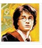 Harry Potter 'Goblet of Fire' Lunch Napkins (16ct)