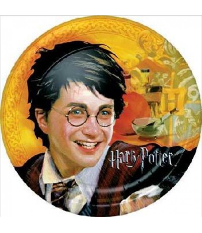 Harry Potter 'Chamber of Secrets' Large Paper Plates (8ct) 