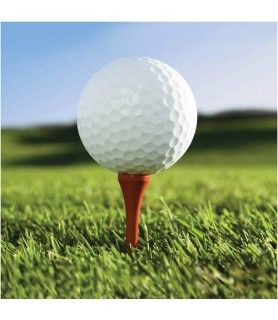 Golf 'Sports Fanatic' Lunch Napkins (18ct)