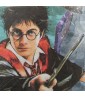 Harry Potter 'Prisoner of Azkaban' Small Napkins (16ct)