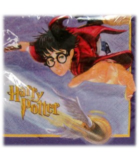 Harry Potter Small Napkins (16ct)