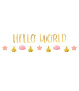 Baby Shower 'Hello World Girl' Banner Kit (2pc)