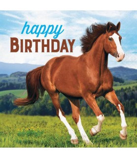 Horse and Pony Happy Birthday Lunch Napkins (16ct)
