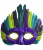 Mardi Gras Feather Mask Style 11 (1ct)