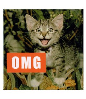 I Can Has Cheezburger 'OMG' Large Magnet / Favor (1ct)