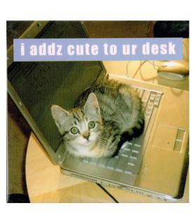 I Can Has Cheezburger 'I Addz Cute to Ur Desk' Large Magnet / Favor (1ct)