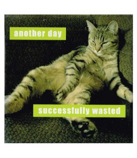 I Can Has Cheezburger 'Another Day Successfully Wasted' Large Magnet / Favor (1ct)