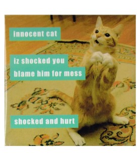I Can Has Cheezburger 'Innocent Cat' Large Magnet / Favor (1ct)