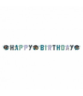 Disney Raya and the Last Dragon Jointed Happy Birthday Banner (1ct)