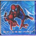 Spider-man the Movie