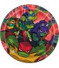 Rise of the Teenage Mutant Ninja Turtles Small Paper Plates (8ct)*