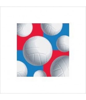 Volleyball Small Napkins (16ct)