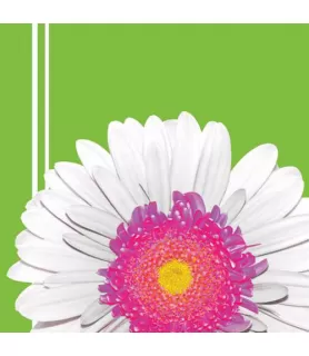 Floral 'Daisy Power' Lunch Napkins (18ct)