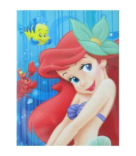 Ariel the Little Mermaid Large Magnet / Favor (1ct)