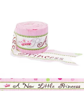 New Little Princess Crepe Paper Streamer (30ft)