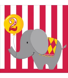 Circus 2nd Birthday Lunch Napkins (16ct)